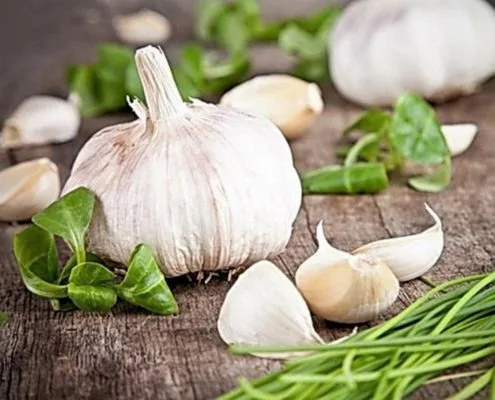 health benefits garlic