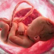 baby movements during pregnancy