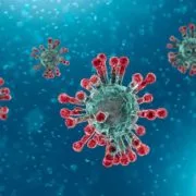 coronavirus update cure india