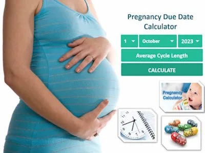 Pregnancy Due Date Calculator