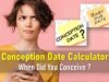 conception date calculator 2 possible fathers, accurate conception calculator, reverse conception calculator