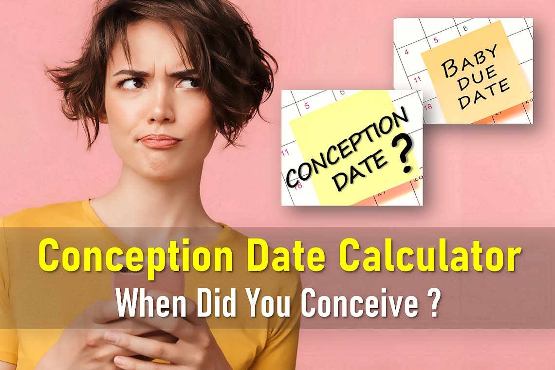 conception date calculator 2 possible fathers, accurate conception calculator, reverse conception calculator