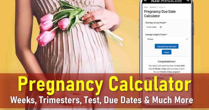 pregnancy calculator, pregnancy due date calculator, pregnancy week calculator, edd calculator pregnancy