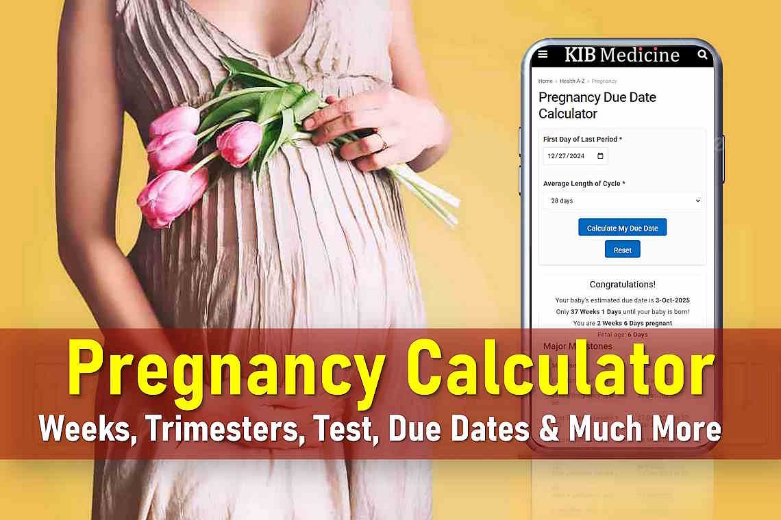 pregnancy calculator, pregnancy due date calculator, pregnancy week calculator, edd calculator pregnancy