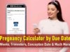 Pregnancy Calculator by Due Date: Calculate Weeks, Trimester, Conception Date, & all Milestones
