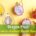 dragon fruit benefits, what is dragon fruit good for, yellow dragon fruit benefits